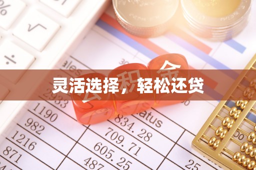 金融灵活选择，轻松还贷